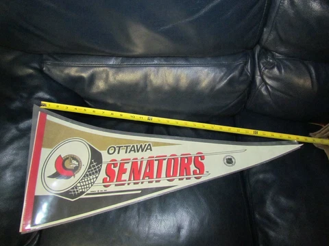OTTAWA SENTAORS NHL Pennant Cover