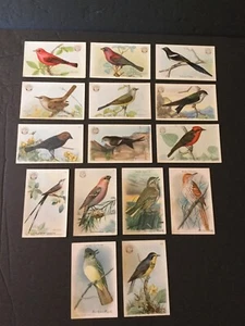 Tarjetas comerciales útiles de bicarbonato de sodio Birds of America Arm & Hammer 15 de 30 EE. UU. 1920 - Imagen 1 de 12