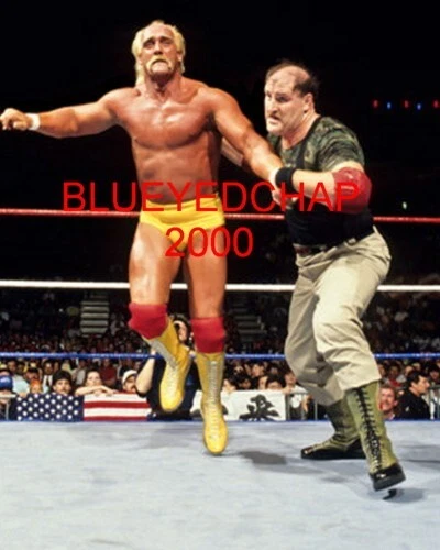 HULK HOGAN VS SARGEANT SLAUGHTER WRESTLER 8 X 10 WRESTLING PHOTO WWF WCW - Image 1 of 1