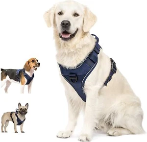 Dog Harness, No Pull Pet Harness No-Choke with 2 Metal Rings (Size:M,Blue) - Picture 1 of 6