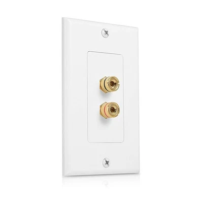 2 Posts Speaker Wall Plate Home Theater Wall Plate Audio Panel for 16346 - Imagen 1 de 4