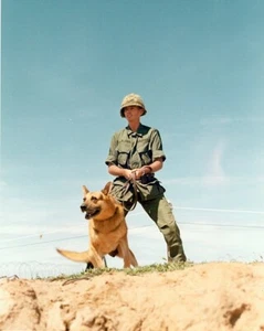 EE. UU. Soldado Perro Manipulador Pastor Alemán Perro Militar 8x10 Foto de Guerra de Vietnam 549 - Imagen 1 de 1
