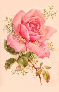 Fabric Block French Victorian Single Pink Rose on Fabric Vintage 8.5" by 11"