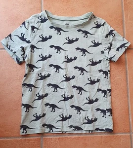 T-Shirt, Dino, Dinosaurier - Bild 1 von 1