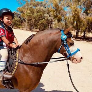 Contact Reins Child Beginners Confidence To Aid Balance In Leather