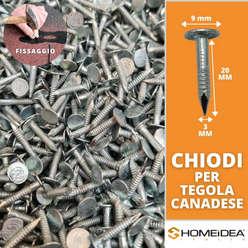 Chiodi per fissaggio tegola canadese e guaina ardesiata tetto 20 mm testa piatta - Immagine 1 di 3