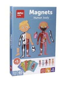 Apli Kids Corpo Umano Magnetico Magneti - Foto 1 di 5