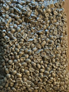 Organic Vacuum-Sealed Unroasted Indonesian Sumatra Coffee Bean Grade 1 - 16 oz - Picture 1 of 1