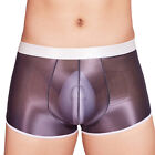 Men Underwear Glossy Underpants See Through Lingerie Oil Panties Sheer Trunks
