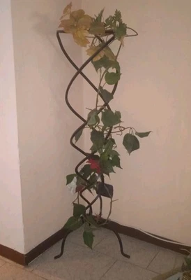 Struttura In Ferro Battuto Anni 50 Complemento Di Arredo Buone Condizioni - Immagine 1 di 4