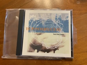 $.99 Cent Psychedelic Furs Until She Comes +3 Non LP Tracks Maxi CD NM - Picture 1 of 3