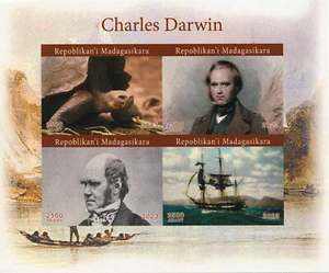 Charles Darwin Stamps Madagascar 2023 MNH Evolution Ships Tortoises 4v IMPF M/S - Picture 1 of 1
