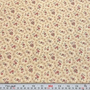 Sentimental Journey Circa 1800's by Ro Gregg Northcott Cotton Remnant 17" x 44" - Picture 1 of 2