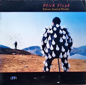 Pink Floyd - delicate sound of thunder (1988) EMI Vinyl 2LPs FOC OIS - Bild 1 von 11