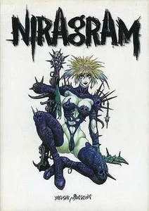 NIRAGRAM Yasushi Nirasawa Art Book Art Collection USED F/S - Picture 1 of 1