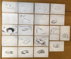 DAVID HOCKNEY 'Stanley & Boodge' Dachshund Dibujos 19 Postales Colección ¡NUEVO EN PAQUETE! - Imagen 1 de 11