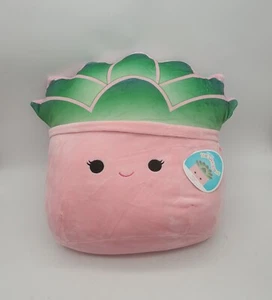 Squishmallow 12" Afiyah Succulent Plant Squad Pink Plush Toy Tag - Picture 1 of 11