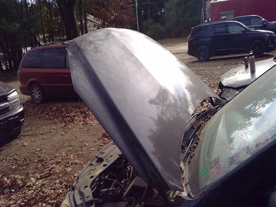 Hood Electric EV Fits 06-14 Rav 4 3760884 Foto 1 de 4