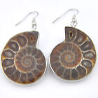 Boucles d'oreilles vintage argent naturel gemmes fossiles d'ammonite, gemmes d'améthyste crochet argent 