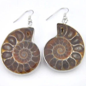 Vintage Silver Natural Ammonite Fossil Gems, Amethyst Gems Silver Hook Earrings - Picture 1 of 5