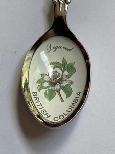 British Columbia CANADA Vintage Collectors Spoon - Picture 1 of 4