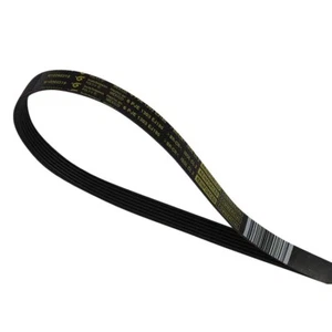 ForeverPRO WPW10260319 Riemen für Whirlpool Waschmaschine W10260319 1552198 AH2372678... - Bild 1 von 1