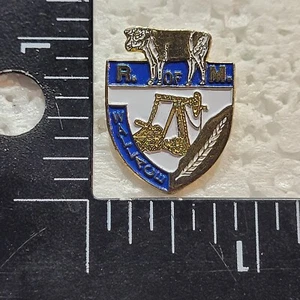 R. OF M. WALLACE HAT LAPEL PIN PIN BACK USED (GG3376) - Picture 1 of 3