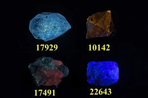 JHSet168 Vier fluoreszierende Kristalle aus Pakistan und Afghanistan - Bild 1 von 4