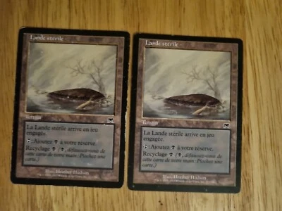 MTG - 2x Barren Moor - Onslaught - French Edition - Image 1 of 2