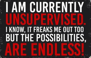 FUNNY  HOT ROD BIKER RAT FINK MOTORCYCLES TOOLS GUNS STICKER - Bild 1 von 1