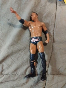 WWE Unmatched Fury The Rock Platinum Edition Jakks Pacific 2007 - Loose Figure - Picture 1 of 6
