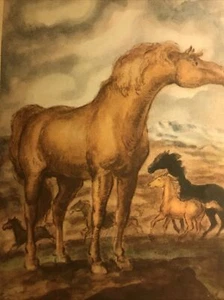 1941 - MARY O'HARA - MY FRIEND FLICKA - Book - Picture 1 of 12