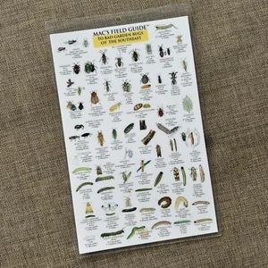 MAC'S FIELD GUIDES TO SOUTHEAST GARDEN BUGS Good And Bad By Craig Macgowan *NEW* - Picture 1 of 2