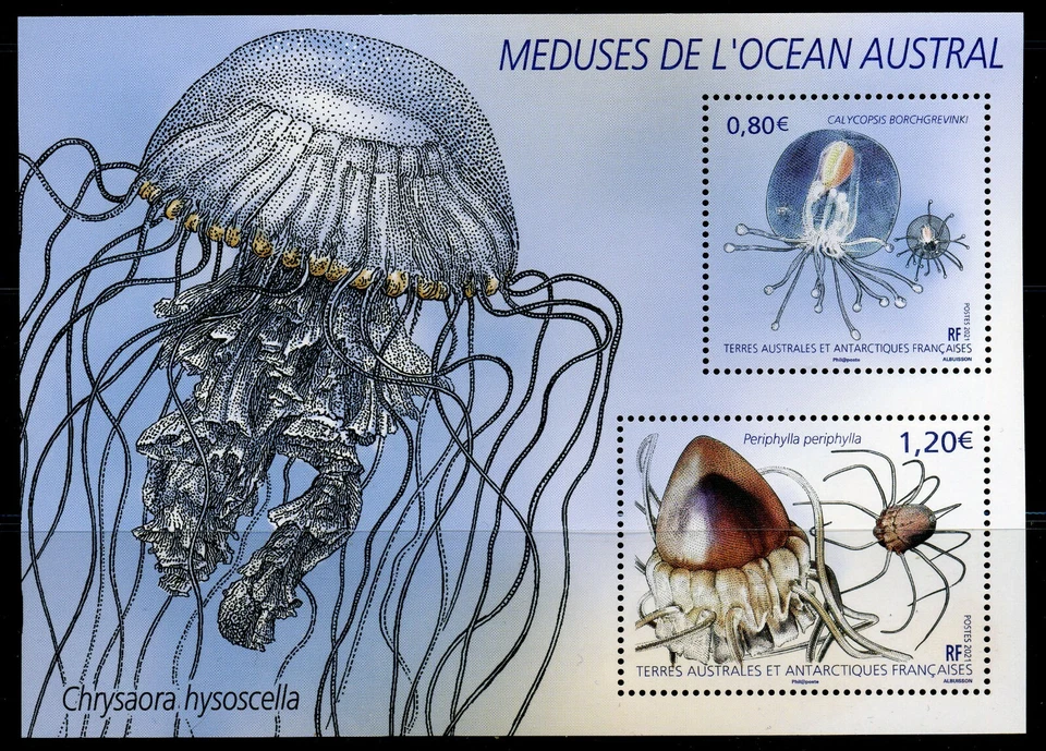 FSAT / TAAF 2021 SOUVENIR SHEET (MEDUSE DE L'OCEAN AUSTRAL) 2101011 - Image 1 of 1