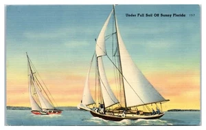 Segelboote unter voller Segel vor dem sonnigen Florida Postkarte - Bild 1 von 2