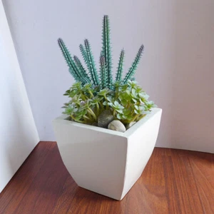 3 Piezas Plantas Artificiales Cactus Gris Con Hierbas Suculentas (#95) - Imagen 1 de 3