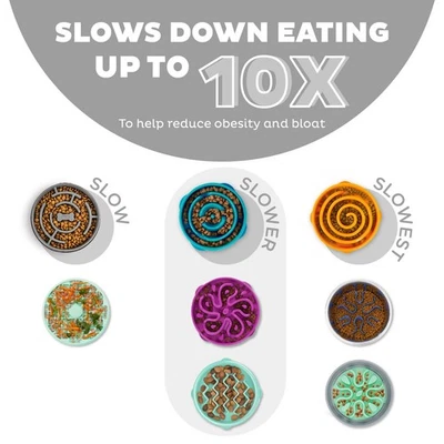 Outward Hound Fun Feeder Dog Slo Bowl Slow Healthy Eating Vet Recommended