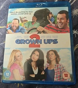 Grown Ups 2 Blu-Ray (2013) Adam Sandler, Dugan (DIR) cert 12 - Picture 1 of 3