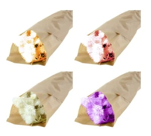 Capblumen Mazzo Colorato Naturale Stabilizzato Composizione Floreale - Imagen 1 de 4