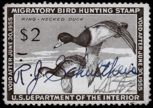 United States Hunting Permit Stamp Scott RW21 (1954) Used/Signed F, CV$12.50 W - Picture 1 of 1