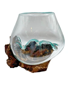 Glass On Driftwood Hand Sculpted Molten Bowl/Plant Terrarium - Picture 1 of 8
