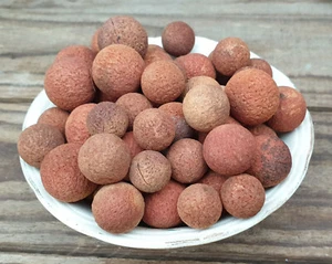 Sandalwood Seeds/Nuts Australian, Santalum spicatum, Bush Tucker, Bush Medicine - Picture 1 of 3