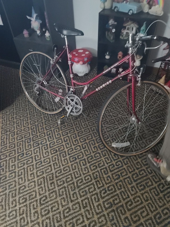 Schwinn World Sport Foto 1 de 1