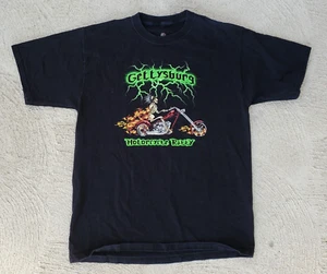 Gettysburg PA Pennsylvania Motorcycle Rally Bike Week 2006 T Shirt Large - Picture 1 of 6