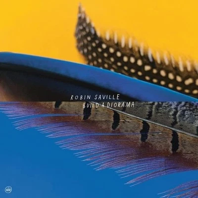 Saville Robin Build A Diorama (CD) - Bild 1 von 2