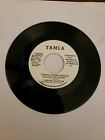 Thelma Houston- I'm Not Strong Enough To Love You Again (45Rpm 7?Single)(J633)