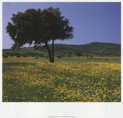 Litografia offset ARCHIV KIEDROWSKI Toscana, Itália 17" x 17,75" 2009 - Imagem 1 de 4