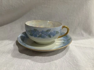 Nippon Hand painted, Teacup and Saucer, Purple, Flower, - Picture 1 of 5