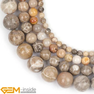 Natural Coral Fossil Chrysanthemum Stone Round Beads 4/6/8/10mm Strand15" DIY - Picture 1 of 36