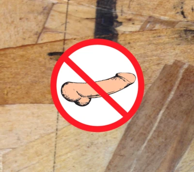 No Penis Here No Dicks Allowed Calcomanía Adhesiva Divertida Mordaza Vinilo Regalo Polla Camión  Foto 1 de 2